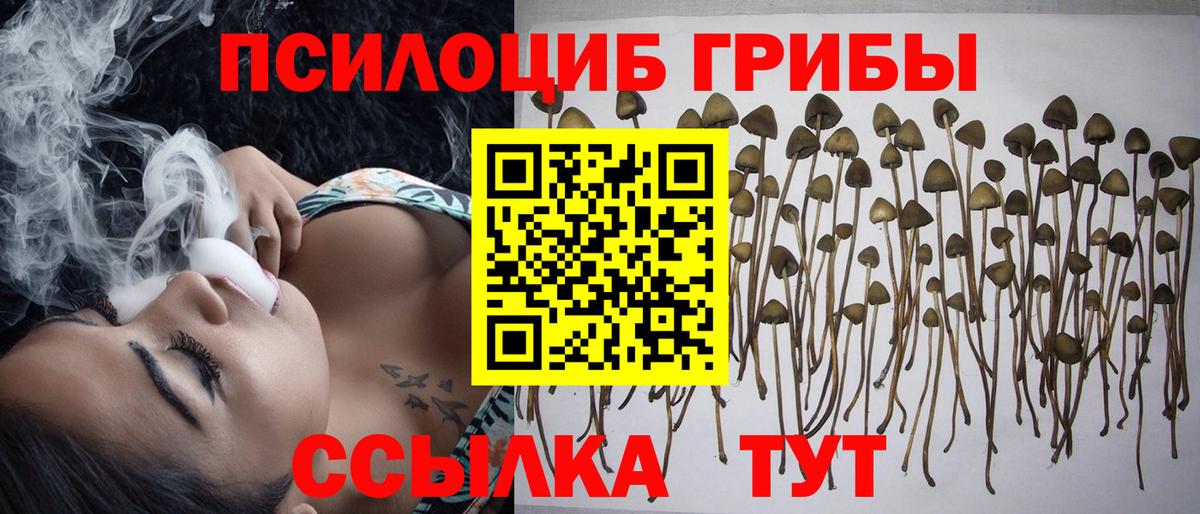 Псилоцибиновые грибы Cubensis Южно-Сахалинск