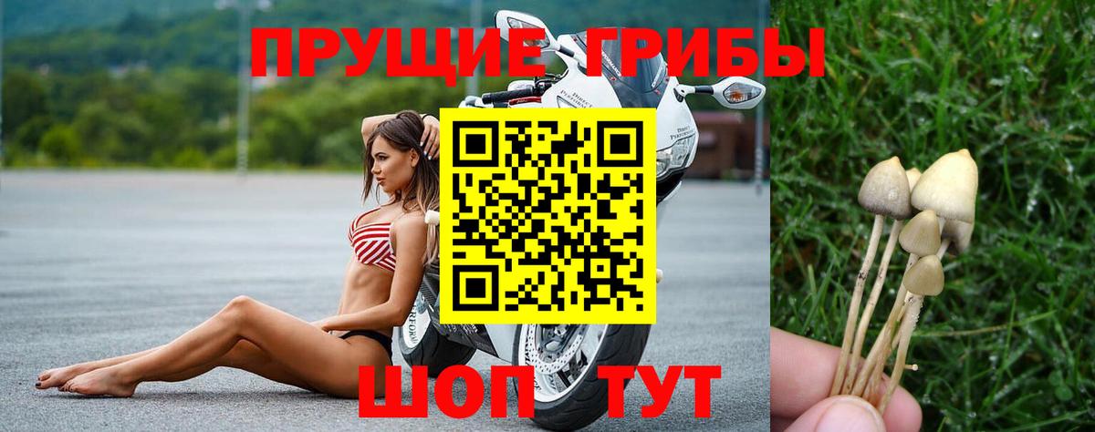 Южно-Сахалинск  Галлюциногенные грибы Cubensis  Вход с VPN 